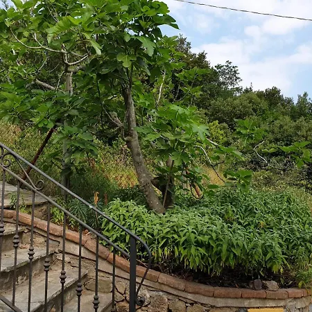 La Casa Nel Bosco By Vm Σπίτι διακοπών