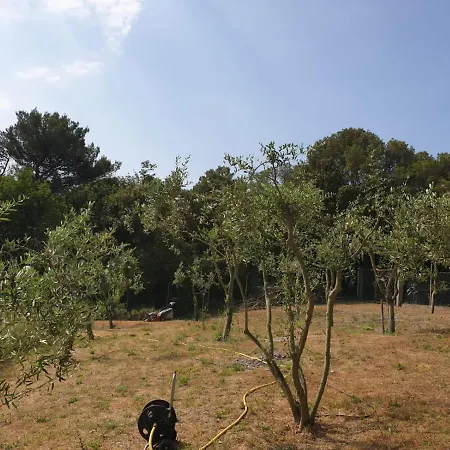 Σπίτι διακοπών La Casa Nel Bosco By Vm Finale Ligure