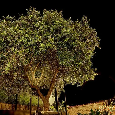 Σπίτι διακοπών La Casa Nel Bosco By Vm Finale Ligure