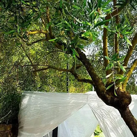 Σπίτι διακοπών La Casa Nel Bosco By Vm Finale Ligure
