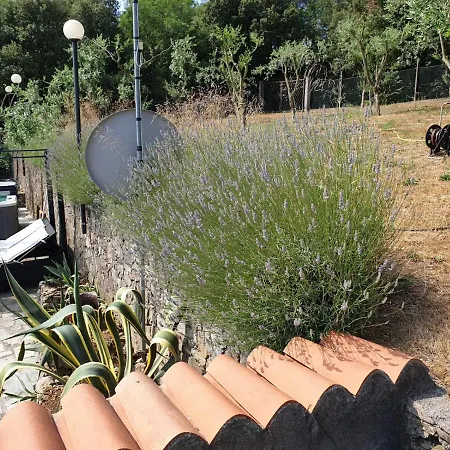 Holiday home La Casa Nel Bosco By Vm