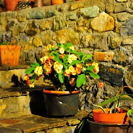 La Casa Nel Bosco By Vm Holiday home Finale Ligure
